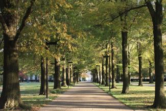 UK path