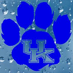 UK wildcat paw